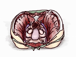 無題メイン画像